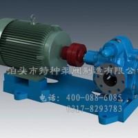 青海齿轮泵定制加工~泊头特种泵厂价直营齿轮泵