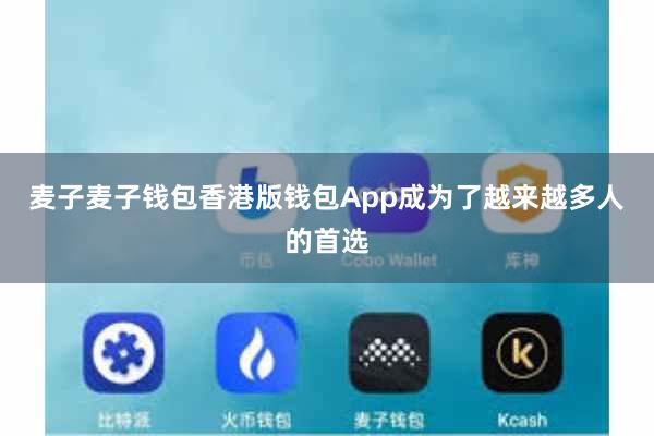 麦子麦子钱包香港版钱包App成为了越来越多人的首选