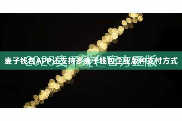 麦子钱包APP还支持多麦子钱包企业版种支付方式