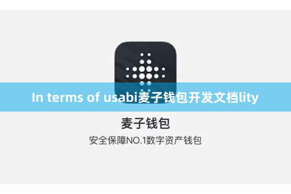 In terms of usabi麦子钱包开发文档lity