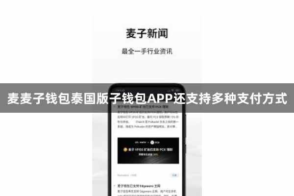 麦麦子钱包泰国版子钱包APP还支持多种支付方式