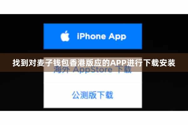 找到对麦子钱包香港版应的APP进行下载安装