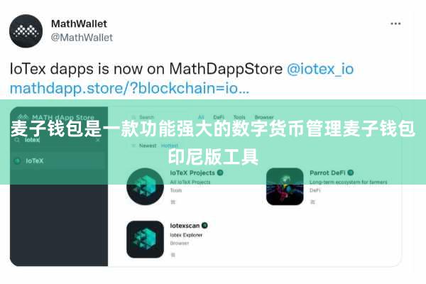 麦子钱包是一款功能强大的数字货币管理麦子钱包印尼版工具