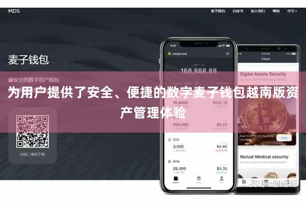 为用户提供了安全、便捷的数字麦子钱包越南版资产管理体验