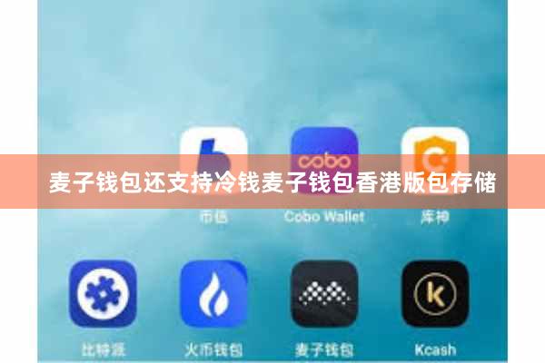 麦子钱包还支持冷钱麦子钱包香港版包存储