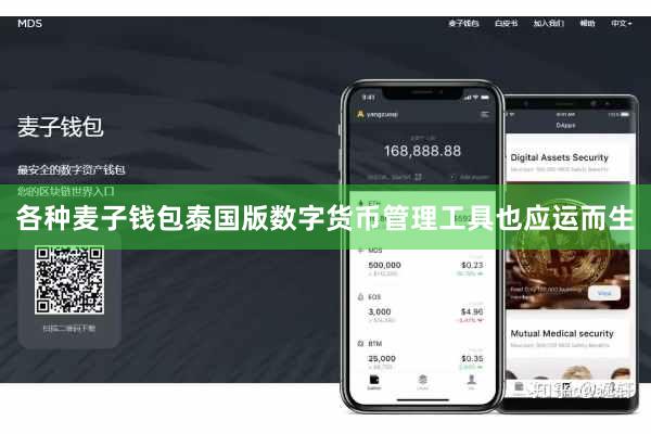各种麦子钱包泰国版数字货币管理工具也应运而生