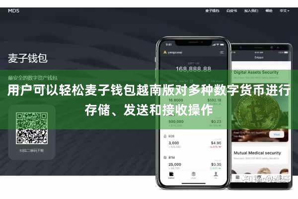 用户可以轻松麦子钱包越南版对多种数字货币进行存储、发送和接收操作