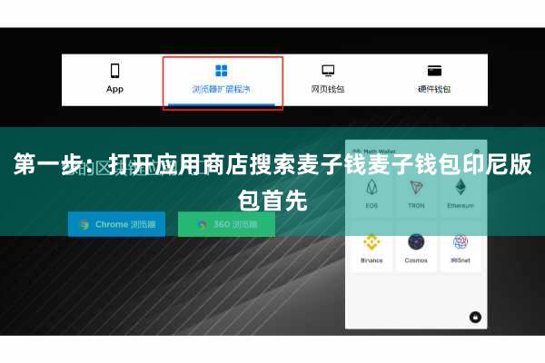 第一步：打开应用商店搜索麦子钱麦子钱包印尼版包首先