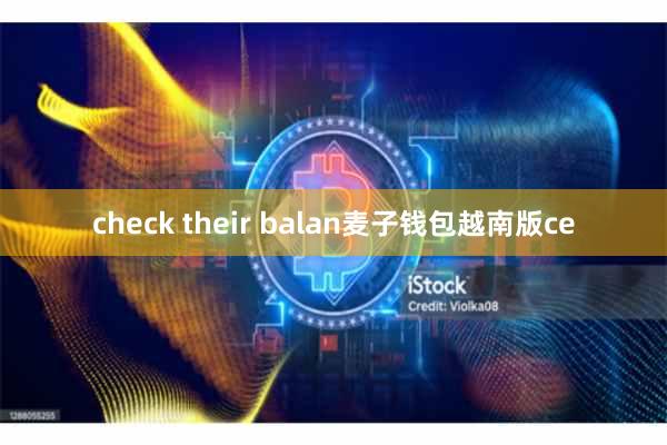 check their balan麦子钱包越南版ce