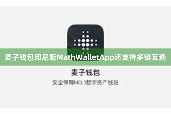 麦子钱包印尼版MathWalletApp还支持多链互通