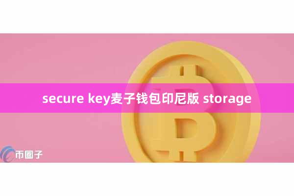 secure key麦子钱包印尼版 storage