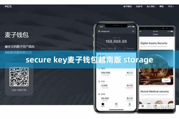 secure key麦子钱包越南版 storage