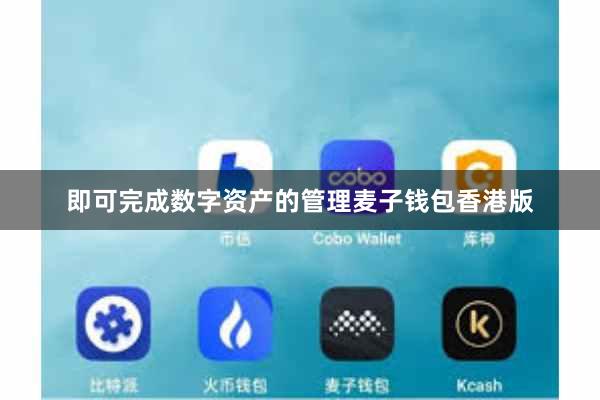即可完成数字资产的管理麦子钱包香港版