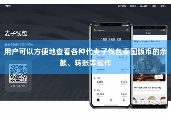用户可以方便地查看各种代麦子钱包泰国版币的余额、转账等操作